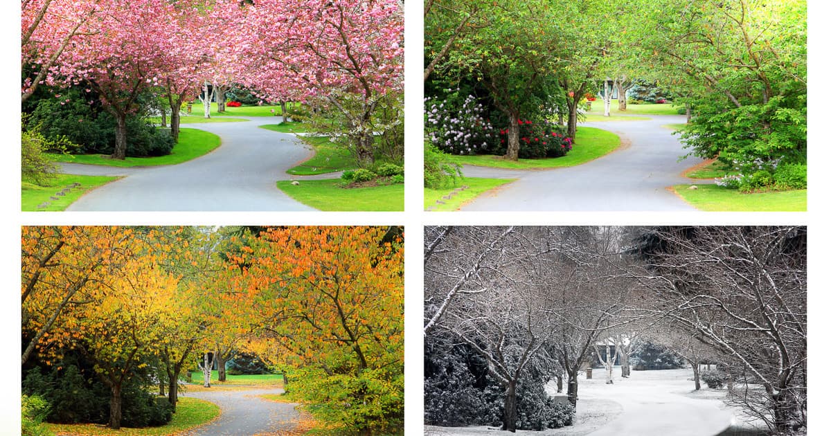 A Quick Guide to Seasons in the UK