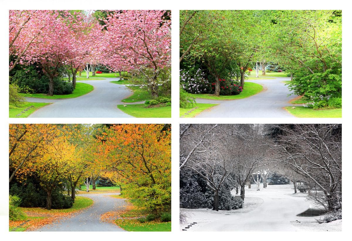 A Quick Guide to Seasons in the UK